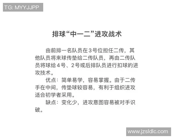 武汉排球队在锦标赛中的速度优势与战术解析